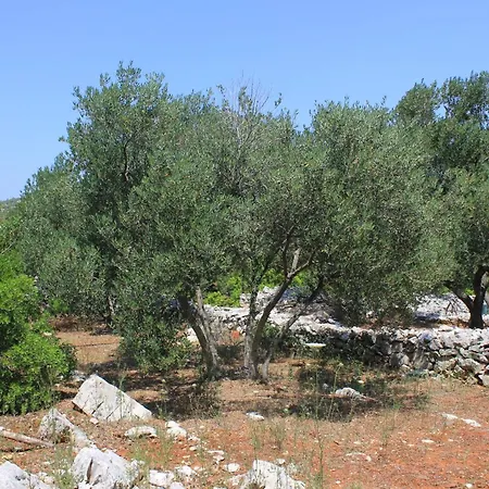 Secluded Fisherman's Cove Jaz - Telascica, Dugi Otok - 876 * Sali