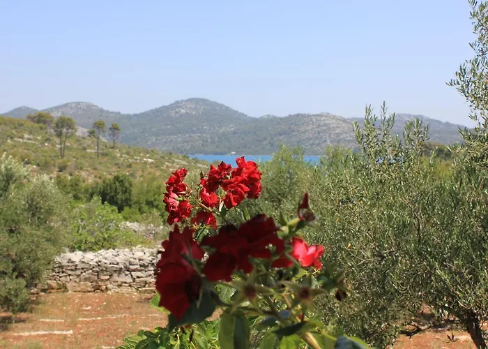 Secluded Fisherman's Cove Jaz - Telascica, Dugi Otok - 876