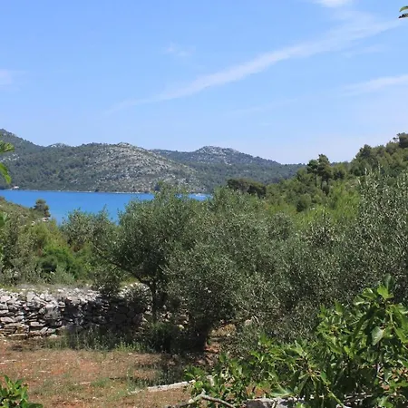 Secluded Fisherman's Cove Jaz - Telascica, Dugi Otok - 876 別荘